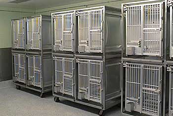 Primate Housing