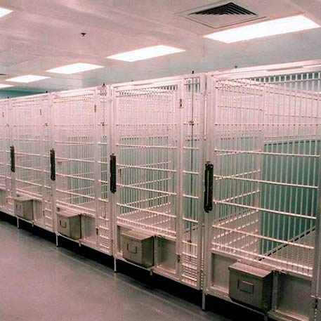 Raised Floor Kennel System
